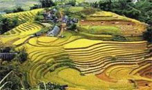 sapa tours